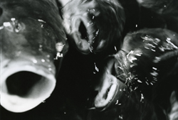 narahashi_higasikawa